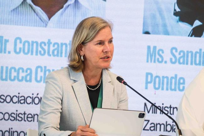 Susan Gardner, Director, Ecosystem Division, UNEP - Forest and Water -24oct24-photo