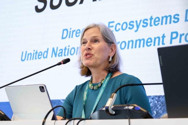 Susan Gardner, Director, Ecosystems Division, UNEP - Ocean Day -27oct24-photo