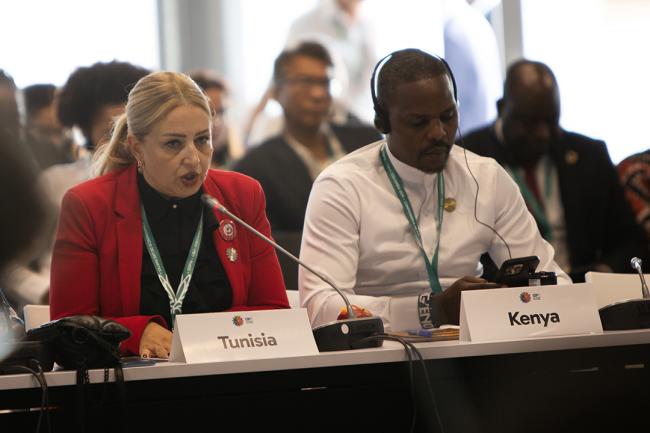 Tunisia -Urgent Action for Implementation - 29 Oct 2024