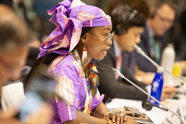 UNCCD - Financial System Reform - 29 Oct 2024