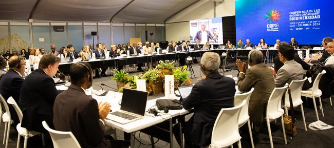 View of the room - Financial System Reform - 29 Oct 2024