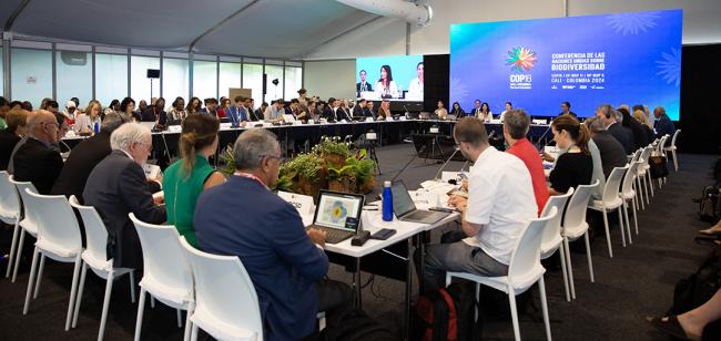 View of the room - Synergies between biodiversity and climate change- 30 Oct 2024