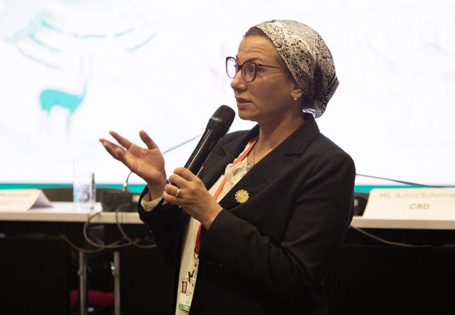 Yassmin Salah Eldin Fouad Minister of Environment, Egypt - Ministerial Lunch - 30Oct