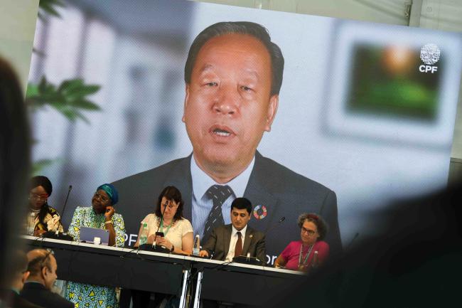 Zhimin Wu, FAO Forest Division - Forest and Water -24oct24-photo