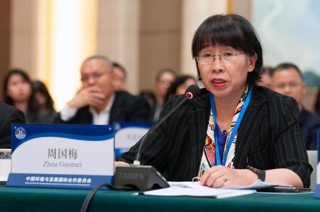 Zhou Guomei, CCICED Deputy Secretary General; Director-General of the Department of International Cooperation at the Ministry of Ecology and Environment