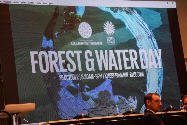 forest and water day image - Forest and Water Day logo - Forest and Water -24oct24-photo