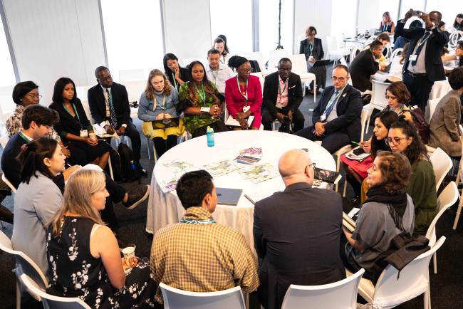 round table on climate change - 2024.10.22 NBSAP Day