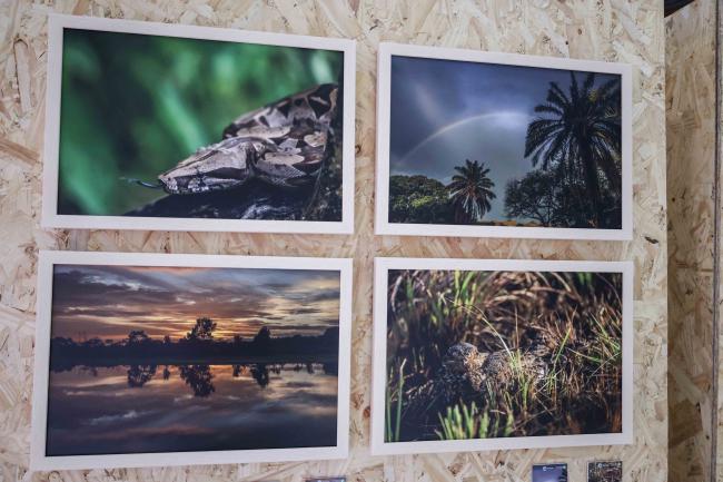 select images 5 - exhibition -Humboldt-31oct24-photo
