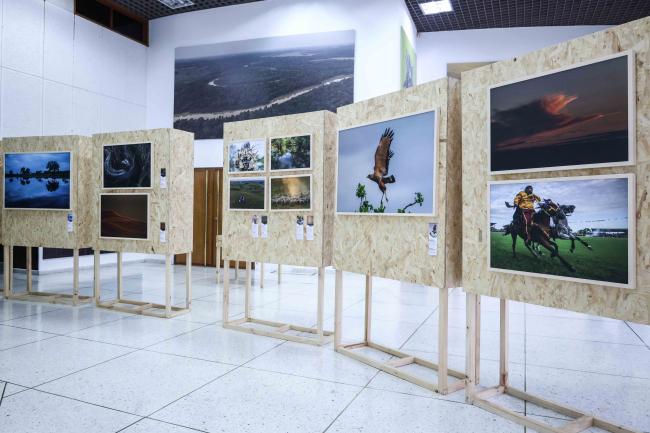 select images 6 exhibition - Humboldt-31oct24-photo