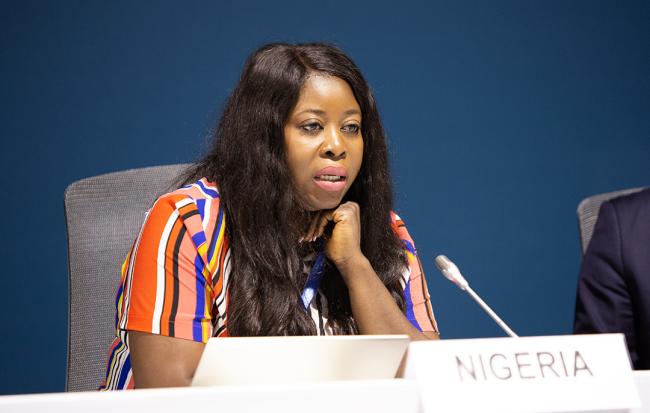 Amudi Chioma Felistas, Council on Climate Change, Nigeria - Long-term Strategies and financing energy transition - 16Nov2024