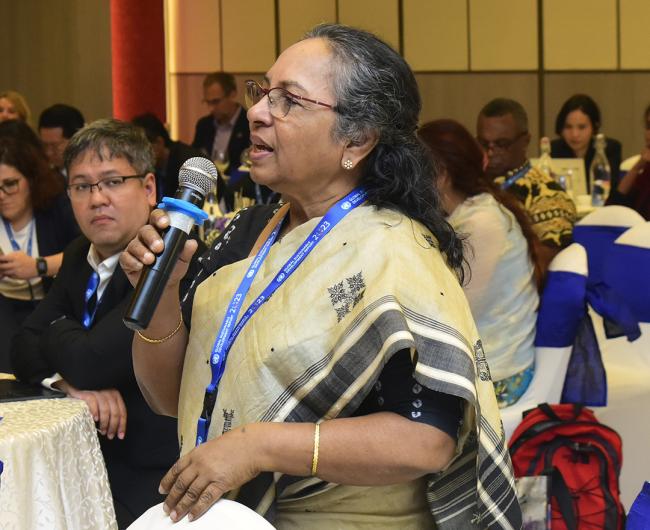 Annie Namala, Centre for Social Equity and Inclusion (India) - GSDR - 7 Nov 2024