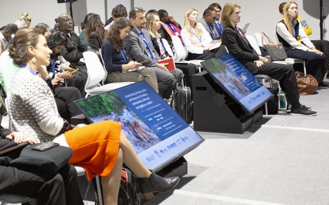 Audience - Accelerating Climate Action and Finance - 15 Nov2024