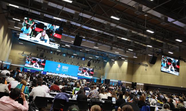 View of the room during Working Group I