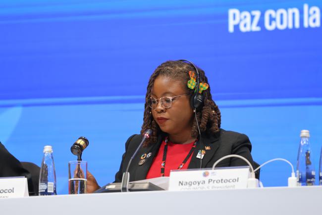 Nagoya Protocol MOP 5 President Nneka Nicholas, Antigua and Barbuda