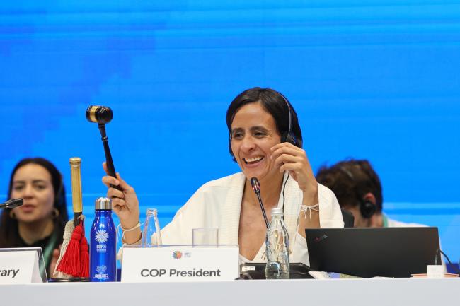 COP 16 President Susana Muhamad, Colombia, gavels the decision for the establishment of the Subsidiary Body for Article 8(j)