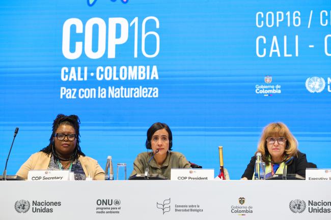 From L-R: Cartagena Protocol MOP 11 Secretary Wadzanayi Goredema-Mandivenyi; COP 16 President Susana Muhamad, Colombia; and Astrid Schomaker, CBD Executive Secretary