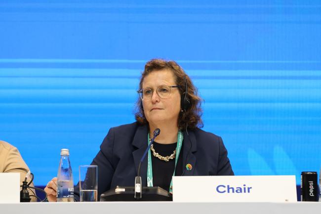 Working Group I Chair Charlotta Sörqvist, Sweden