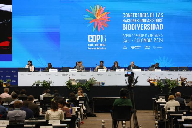 View of the dais during Working Group I