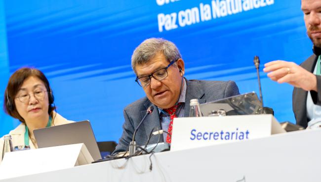 Working Group II Chair Hesiquio Benítez Díaz, Mexico
