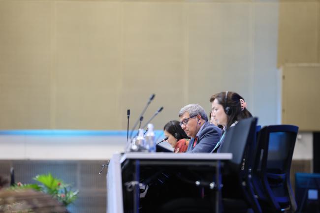 Working Group II Chair Hesiquio Benítez Díaz, Mexico