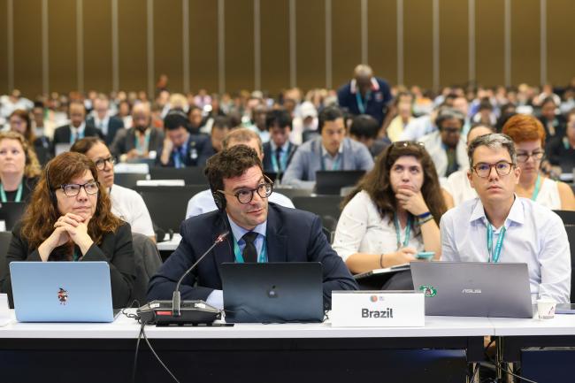 Delegates from Brazil