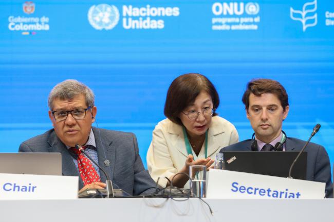 From L-R: Working Group II Chair Hesiquio Benítez Díaz, Mexico; Working Group II Secretary Jihyun Lee; Tristan Tyrrell, CBD Secretariat