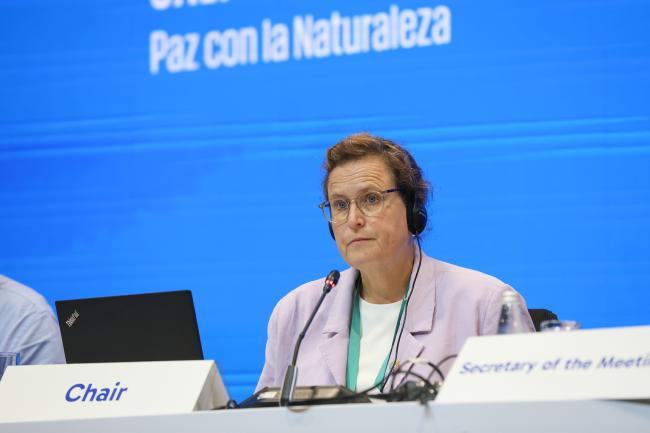 Working Group I Chair Charlotta Sörqvist, Sweden