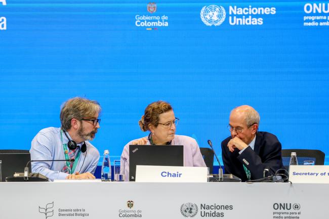 From L-R: Kieran Noonan-Mooney, CBD Secretariat; Working Group I Chair Charlotta Sörqvist, Sweden; Neil Pratt, CBD Secretariat