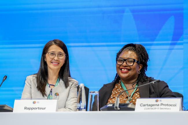 COP 16 Rapporteur Somaly Chan, Cambodia, and Cartagena Protocol MOP 11 Secretary Wadzanayi Goredema-Mandivenyi