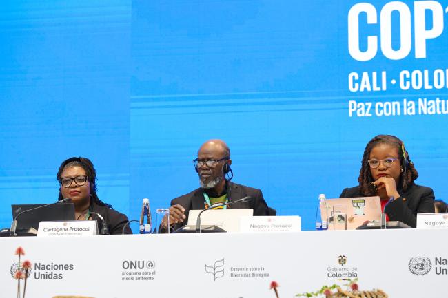 From L-R: Cartagena Protocol MOP 11 Secretary Wadzanayi Goredema-Mandivenyi; Taukondjo Shikongo, CBD Secretariat; and Nagoya Protocol MOP 5 President Nneka Nicholas, Antigua and Barbuda