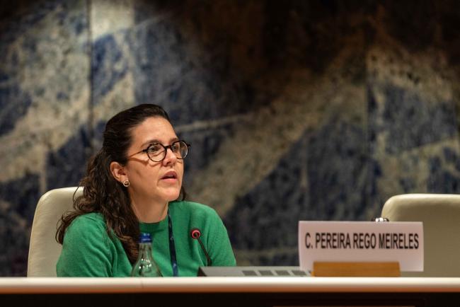 Camila Pereira Rego Meireles, Technical Officer, Mining, Extractives, Energy and Manufacturing, International Labour Organization - IGF_AGM_19Nov2024-photo
