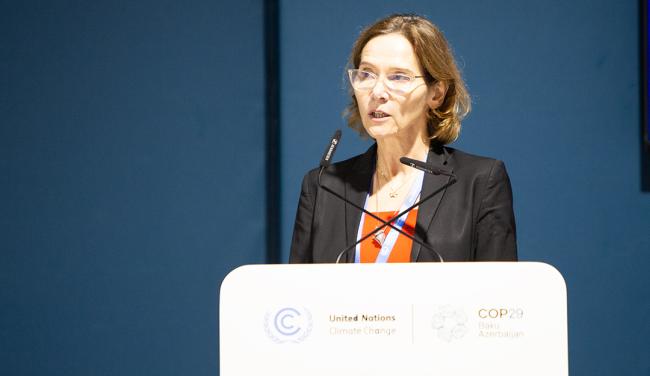 Christina Voigt, Chair of IUCN World Commission on Environmental Law and Professor at the University of Oslo - Judicial Perspectives - 16Nov2024