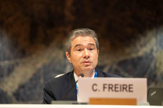 Clovis Freire, Cheif, Commodity Research and Analysis Section, UN Trade and Development 3 - IGF-AGM_18Nov2024-MikaSchroder