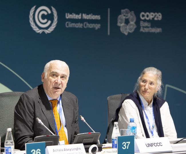 Daniele Violetti, UNFCCC - Formulating and Implementing NAPS -19Nov2024