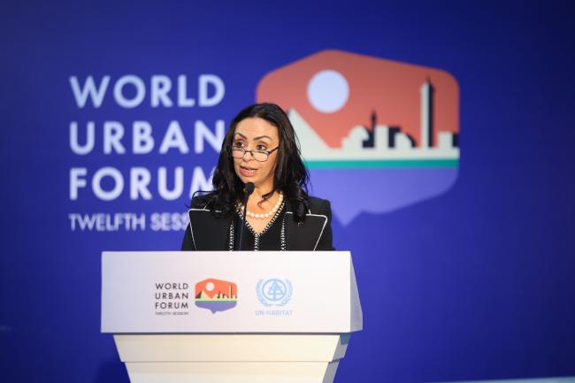 Hanan Dowidar, Drosos Egypt Country Director