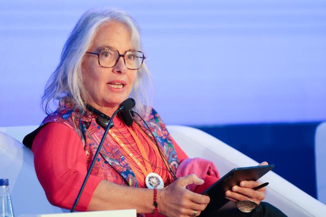 Zaida Muxí Martínez, Gender and Inclunsive Urban Development expert 