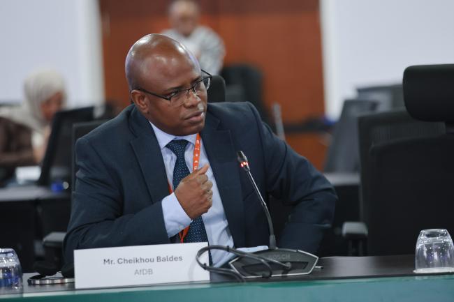 Cheikhou Balde, African Development Bank Group (AfDB) 