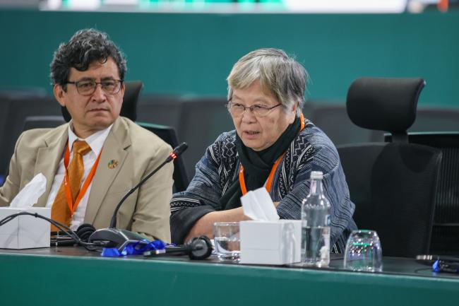 Somsook Boonyabancha, Secretary General, Asian Coalition for Housing Rights (ACHR)