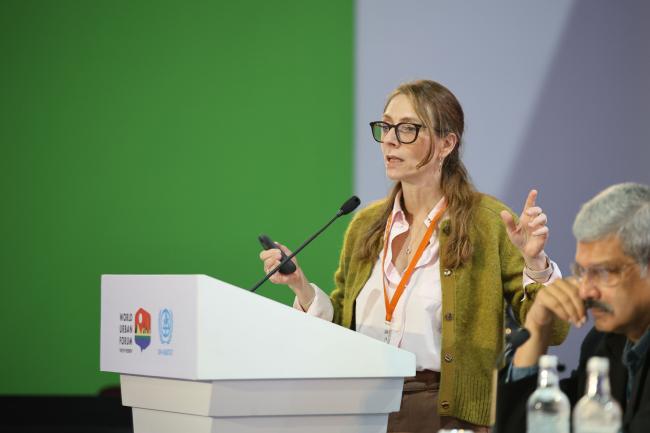   Nathalie Roebbel, Urban Health, World Health Organization (WHO) 