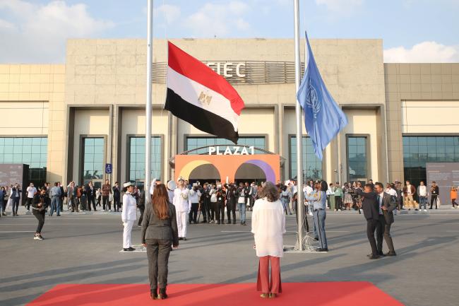 Flag lowering 
