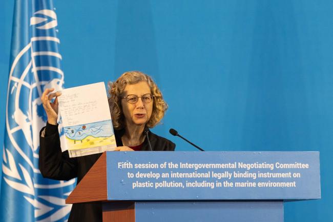 Inger Andersen, Executive Director, UNEP