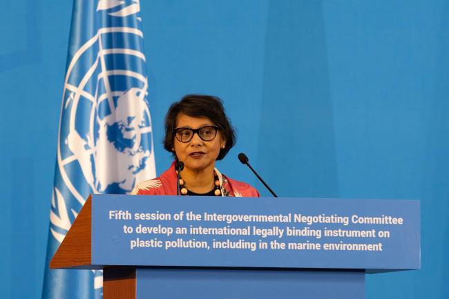Jyoti Mathur-Filipp, Executive Secretary, INC Secretariat