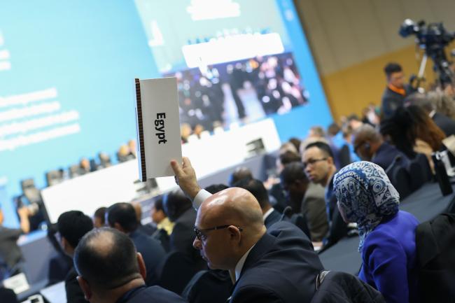 Delegates raise their placards to speak