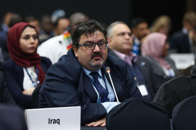 Luay Almukhtar, Co-Chair, Expert Group 2
