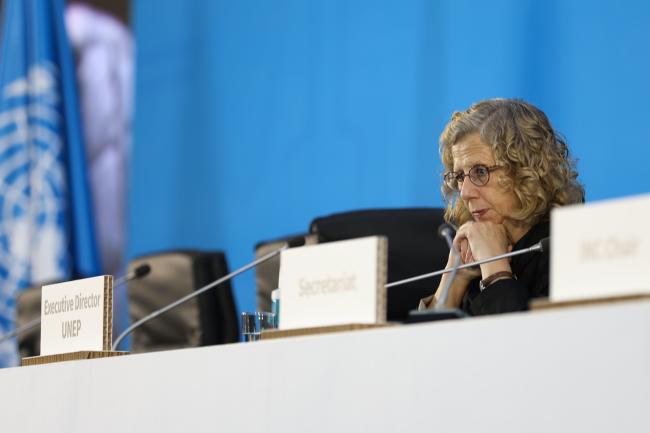 Inger Andersen, Executive Director, UNEP