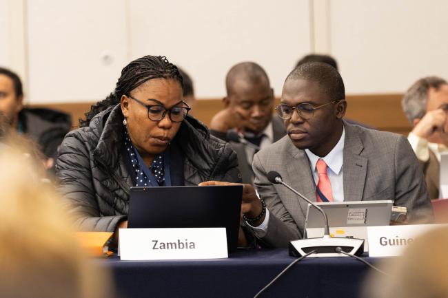 Delegates from Zambia and Guinea consult