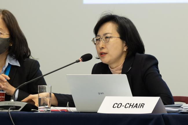 Contact Group 4 Co-Chair Min-young Han, Republic of Korea