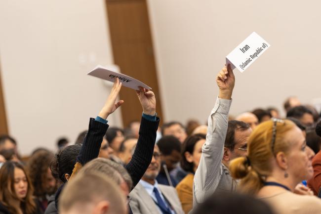 Delegates from Algeria and Iran raise a point of order during the discussions