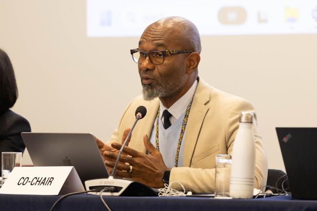 Contact Group 4 Co-Chair Linroy Christian, Antigua and Barbuda
