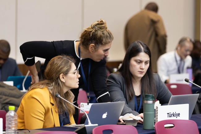 Delegates from Türkiye consult